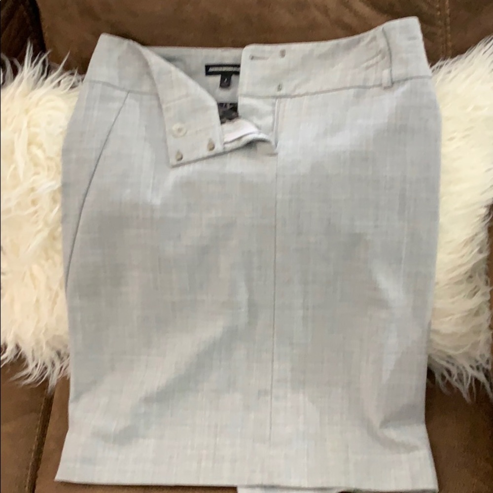 Express Pencil Skirt